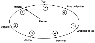 Figure 17 : notre Univers, du Germe au Tout